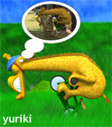9  –  