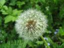 5     (May Day) 